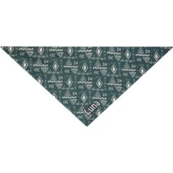 Frisco Boho Geo Personalized Dog & Cat Bandana 13 Frisco Boho Geo Personalized Dog & Cat Bandana -Frisco 267559 PT3. AC SS1800 V1623094369
