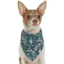 Frisco Boho Geo Personalized Dog & Cat Bandana 16 Frisco Boho Geo Personalized Dog & Cat Bandana -Frisco 267559 PT7. AC SS1800 V1623164863