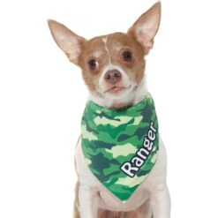 Frisco Green Camo Personalized Dog & Cat Bandana 16 Frisco Green Camo Personalized Dog & Cat Bandana -Frisco 267563 PT7. AC SS1800 V1623182085