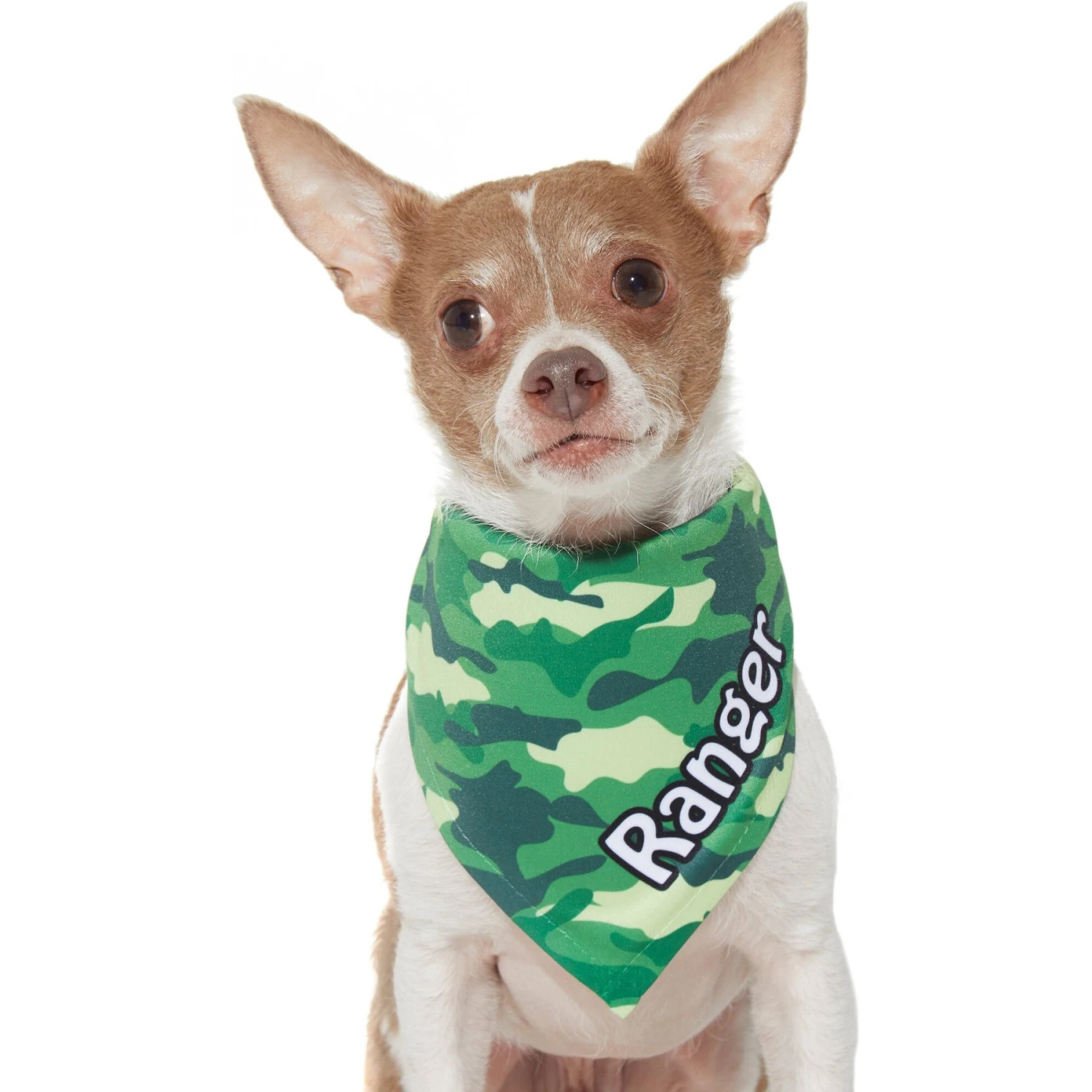 Frisco Green Camo Personalized Dog & Cat Bandana 9 Frisco Green Camo Personalized Dog & Cat Bandana - Image 7