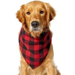 Red Buffalo Plaid Dog & Cat Bandana 12 Red Buffalo Plaid Dog & Cat Bandana -Frisco 267899 PT2. AC SS1800 V1637649415