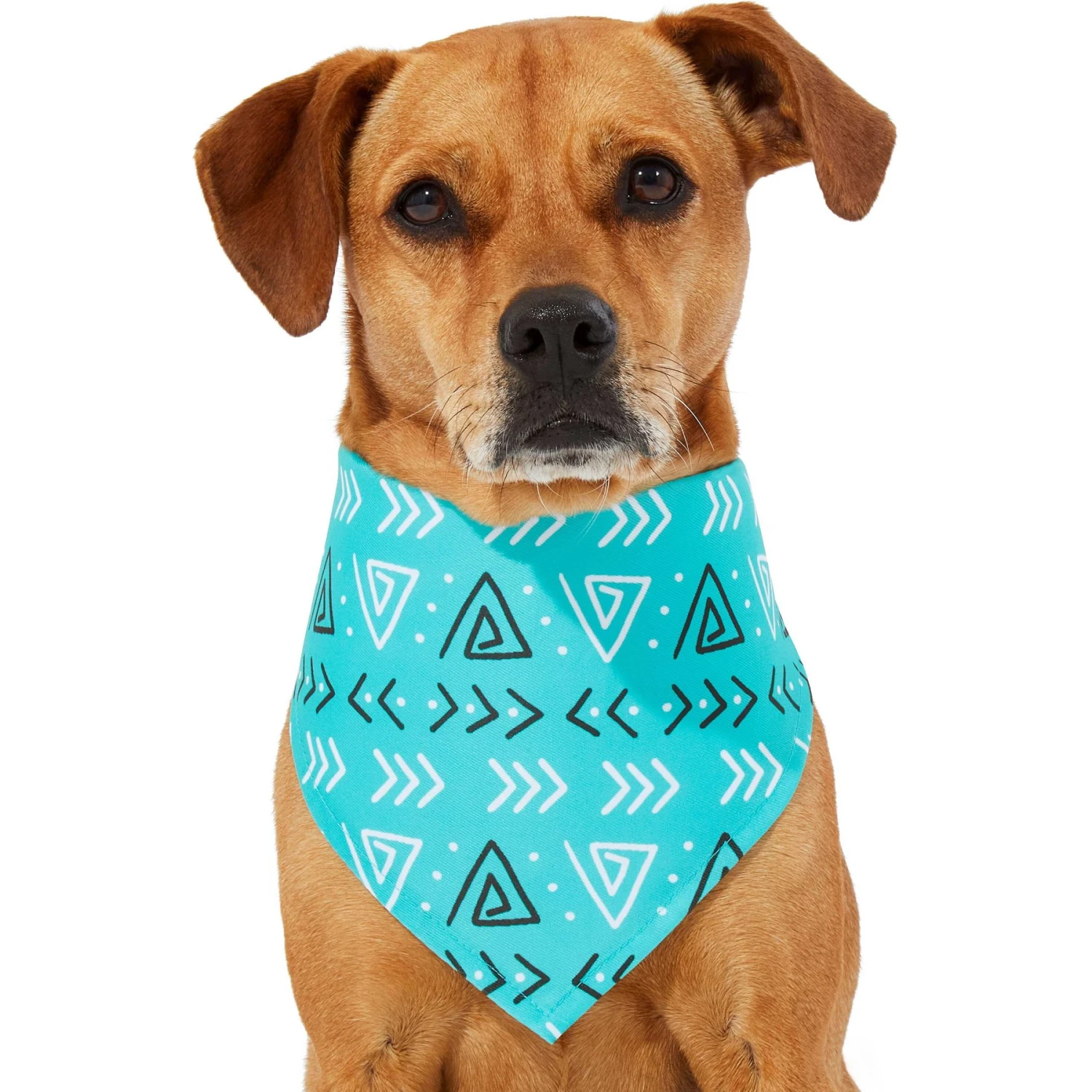 Frisco Geometric Dog & Cat Bandana 5 Frisco Geometric Dog & Cat Bandana - Image 3
