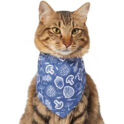 Frisco Fall Vibes Dog & Cat Bandana -Frisco 267913 PT3. AC SS1800 V1637729806