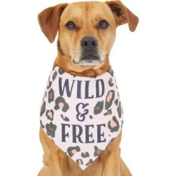 Frisco Pink Leopard Dog & Cat Bandana -Frisco 267922 PT2. AC SS1800 V1637646441