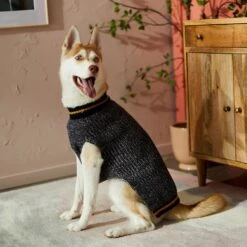 Frisco Heathered Knit Dog & Cat Sweater With 60% Recycled Content 15 Frisco Heathered Knit Dog & Cat Sweater With 60% Recycled Content -Frisco 268159 PT8. AC SS1800 V1629758773