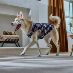 Frisco Lightweight Southwest Dog & Cat Polar Fleece Vest -Frisco 268167 PT8. AC SS1800 V1629756292