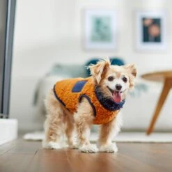 Frisco Lightweight Colorblock Dog & Cat Zippered Sherpa Fleece Vest, Blue/Brown -Frisco 268191 PT8. AC SS1800 V1629759209