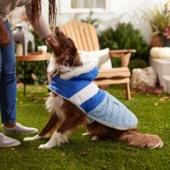 Frisco Heavyweight Chevron Insulated Dog & Cat Parka With Pocket -Frisco 268405 PT8. AC SS1800 V1629766395