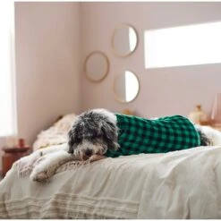Frisco Dog & Cat Cozy Plush Fleece PJs, Green Plaid 14 Frisco Dog & Cat Cozy Plush Fleece PJs, Green Plaid -Frisco 268517 PT5. AC SS1800 V1637644798
