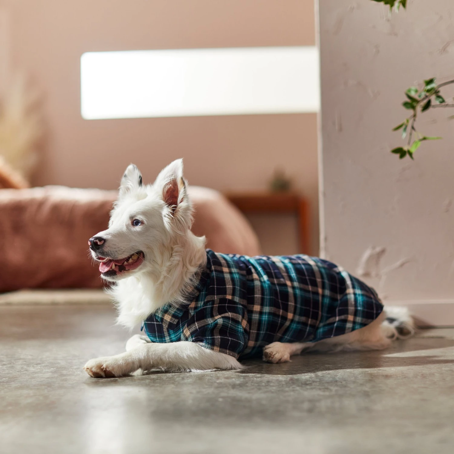 Frisco Multi-Plaid Dog & Cat Flannel Shirt 11 Frisco Multi-Plaid Dog & Cat Flannel Shirt - Image 9