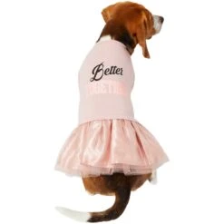 Frisco Better Together Dog & Cat Dress 11 Frisco Better Together Dog & Cat Dress -Frisco 268652 PT2. AC SS1800 V1637672268
