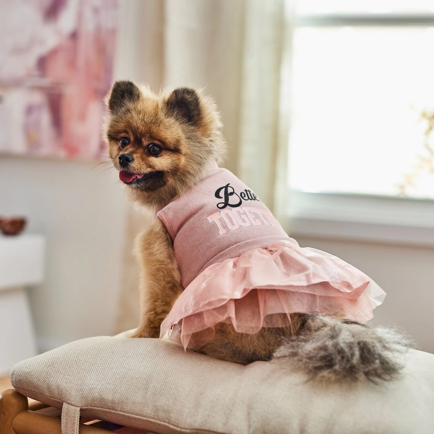 Frisco Better Together Dog & Cat Dress 9 Frisco Better Together Dog & Cat Dress - Image 7