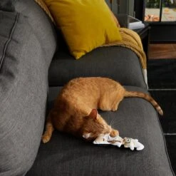 Frisco Halloween Good Witch, Bad Witch Reversible Plush Cat Toy With Catnip -Frisco 270301 PT3. AC SS1800 V1624824841