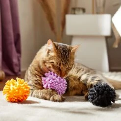 Frisco Halloween Moppy Ball Cat Toy With Catnip 8 Frisco Halloween Moppy Ball Cat Toy With Catnip -Frisco 270337 PT3. AC SS1800 V1624817812