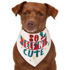 Frisco So Elf'n Cute Dog & Cat Bandana 12 Frisco So Elf'n Cute Dog & Cat Bandana -Frisco 276276 PT2. AC SS1800 V1637682999
