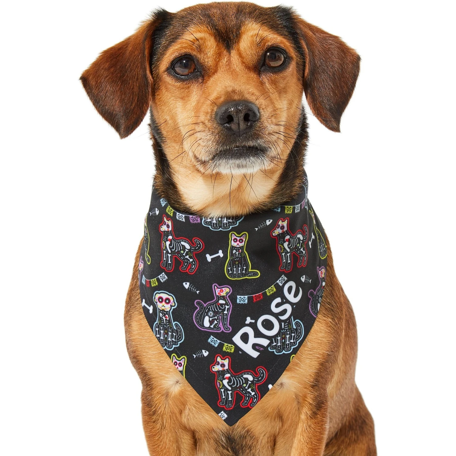 Frisco Dia De Los Muertos Personalized Dog & Cat Bandana 9 Frisco Dia De Los Muertos Personalized Dog & Cat Bandana - Image 7