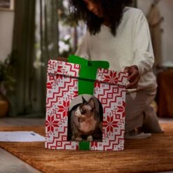 Frisco Holiday Gift Box Cardboard Cat House -Frisco 287291 PT3. AC SS1800 V1695043502