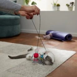 Frisco New Year, New Me Gym Bouncy Mice Plush Cat Toy With Catnip 7 Frisco New Year, New Me Gym Bouncy Mice Plush Cat Toy With Catnip -Frisco 288949 PT3. AC SS1800 V1638289802