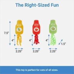 Frisco New Year, New Me Juice Cleanse Plush Cat Toy With Catnip -Frisco 288957 PT1. AC SS1800 V1640722695