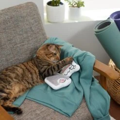 Frisco Scale & Message Bubble Plush Cat Toy With Catnip, 2 Count 7 Frisco Scale & Message Bubble Plush Cat Toy With Catnip, 2 Count -Frisco 288959 PT3. AC SS1800 V1638288401