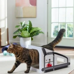 Frisco Treadmill Cardboard Cat House 9 Frisco Treadmill Cardboard Cat House -Frisco 288967 PT3. AC SS1800 V1638288289