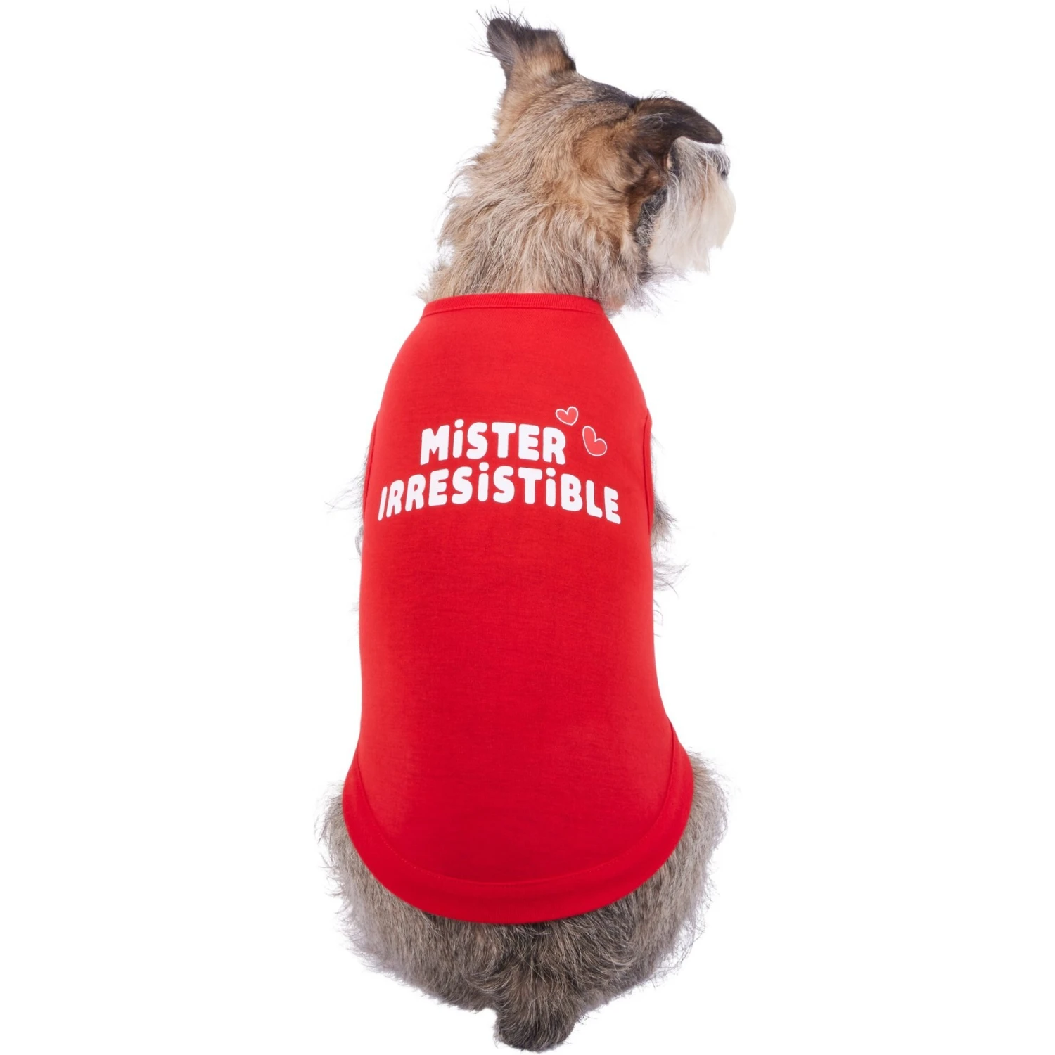 Frisco Mister Irresistible Dog & Cat T-Shirt 3 Frisco Mister Irresistible Dog & Cat T-Shirt