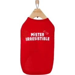 Frisco Mister Irresistible Dog & Cat T-Shirt 12 Frisco Mister Irresistible Dog & Cat T-Shirt -Frisco 292026 PT4. AC SS1800 V1637267791