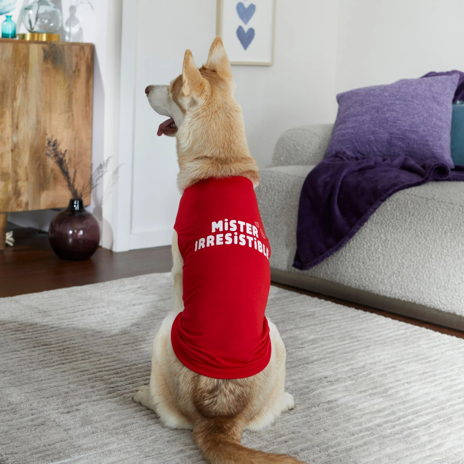 Frisco Mister Irresistible Dog & Cat T-Shirt 8 Frisco Mister Irresistible Dog & Cat T-Shirt - Image 6