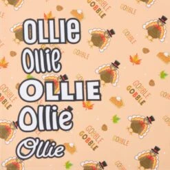 Frisco Quirky Thanksgiving Personalized Dog & Cat Bandana -Frisco 296986 PT4. AC SS1800 V1627655269