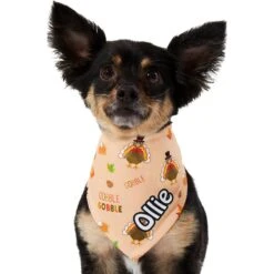Frisco Quirky Thanksgiving Personalized Dog & Cat Bandana -Frisco 296986 PT6. AC SS1800 V1627654020
