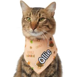Frisco Quirky Thanksgiving Personalized Dog & Cat Bandana -Frisco 296986 PT7. AC SS1800 V1627654903