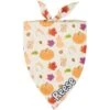 Frisco Pumpkin Spice Personalized Dog & Cat Bandana -Frisco 296998 MAIN. AC SS1800 V1627653400