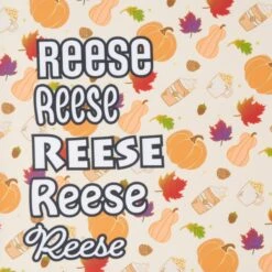 Frisco Pumpkin Spice Personalized Dog & Cat Bandana 15 Frisco Pumpkin Spice Personalized Dog & Cat Bandana -Frisco 296998 PT4. AC SS1800 V1627655195