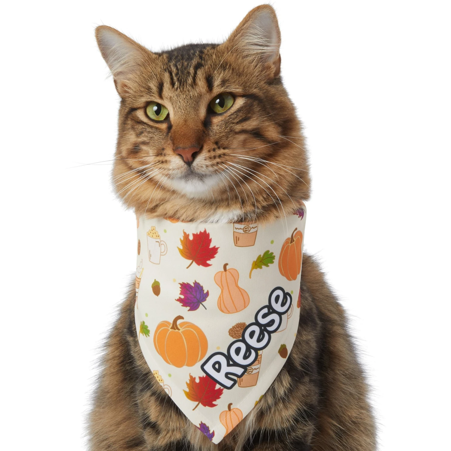 Frisco Pumpkin Spice Personalized Dog & Cat Bandana 10 Frisco Pumpkin Spice Personalized Dog & Cat Bandana - Image 8