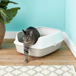 Frisco Decorative Side Table Cat Litter Box Cover & Frisco Open Top Cat Litter Box With Rim, Large -Frisco 297992 PT6. AC SS1800 V1621299762