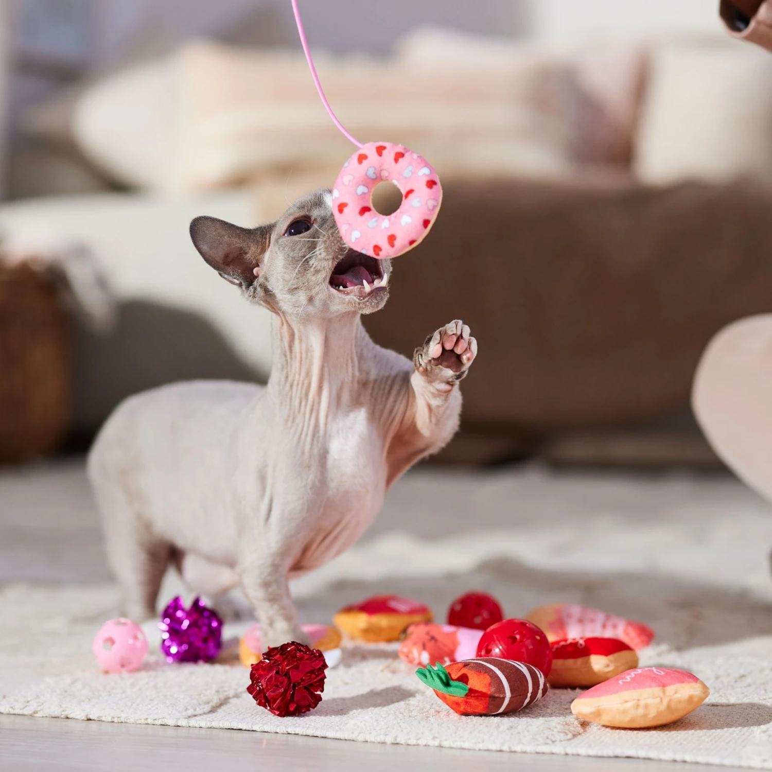 Frisco Valentine Variety Pack Cat Toy With Catnip, 13 Count 6 Frisco Valentine Variety Pack Cat Toy With Catnip, 13 Count - Image 4