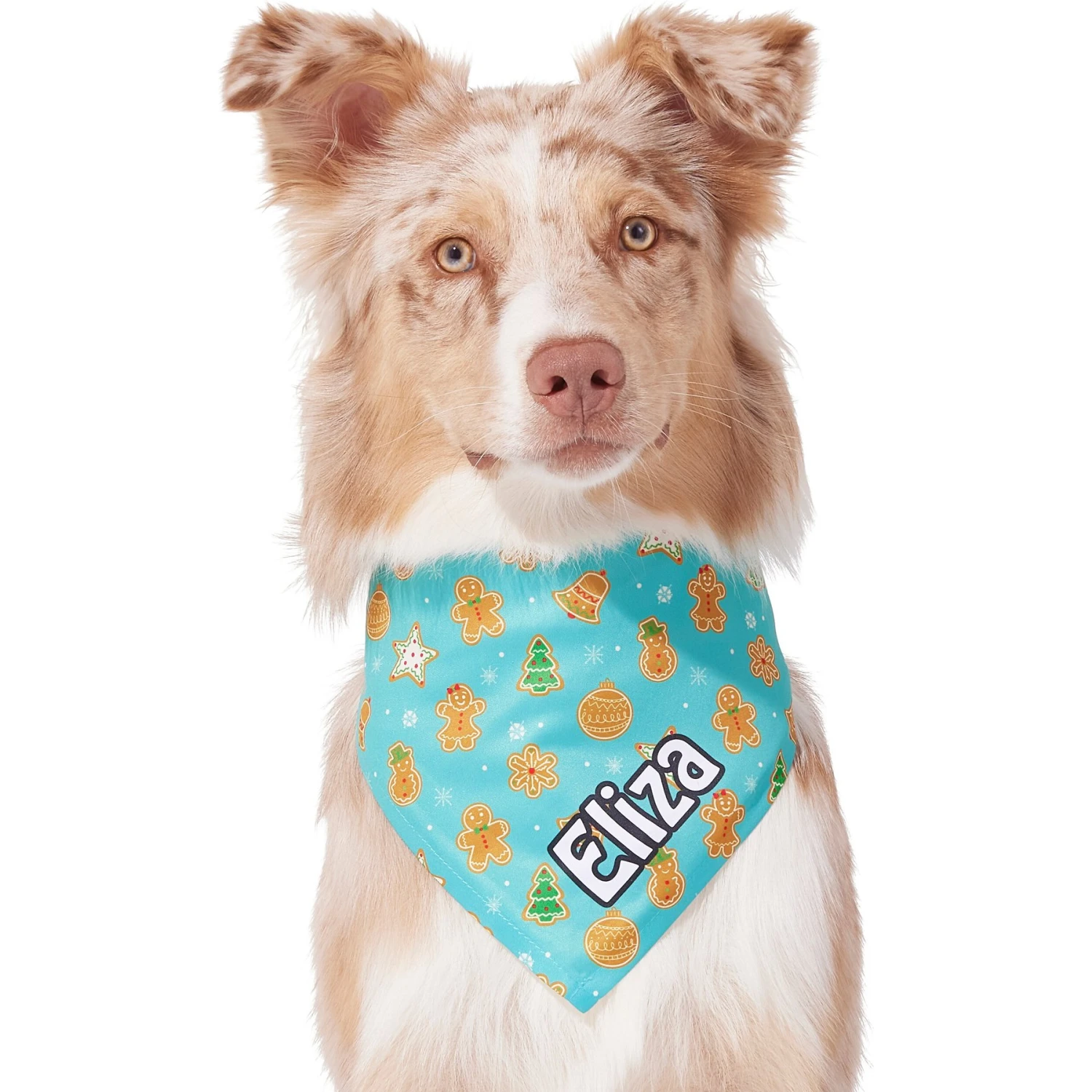 Frisco Gingerbread Cookie Personalized Dog & Cat Bandana 9 Frisco Gingerbread Cookie Personalized Dog & Cat Bandana - Image 7