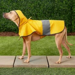 Frisco Lightweight Rainy Days Dog Raincoat & Frisco Lightweight Rubber Ducky Dog Raincoat -Frisco 302842 PT4. AC SS1800 V1623052647