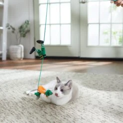 Frisco St. Patrick's Leprechaun Teaser Wand Cat Toy With Catnip 8 Frisco St. Patrick's Leprechaun Teaser Wand Cat Toy With Catnip -Frisco 303104 PT3. AC SS1800 V1641230319