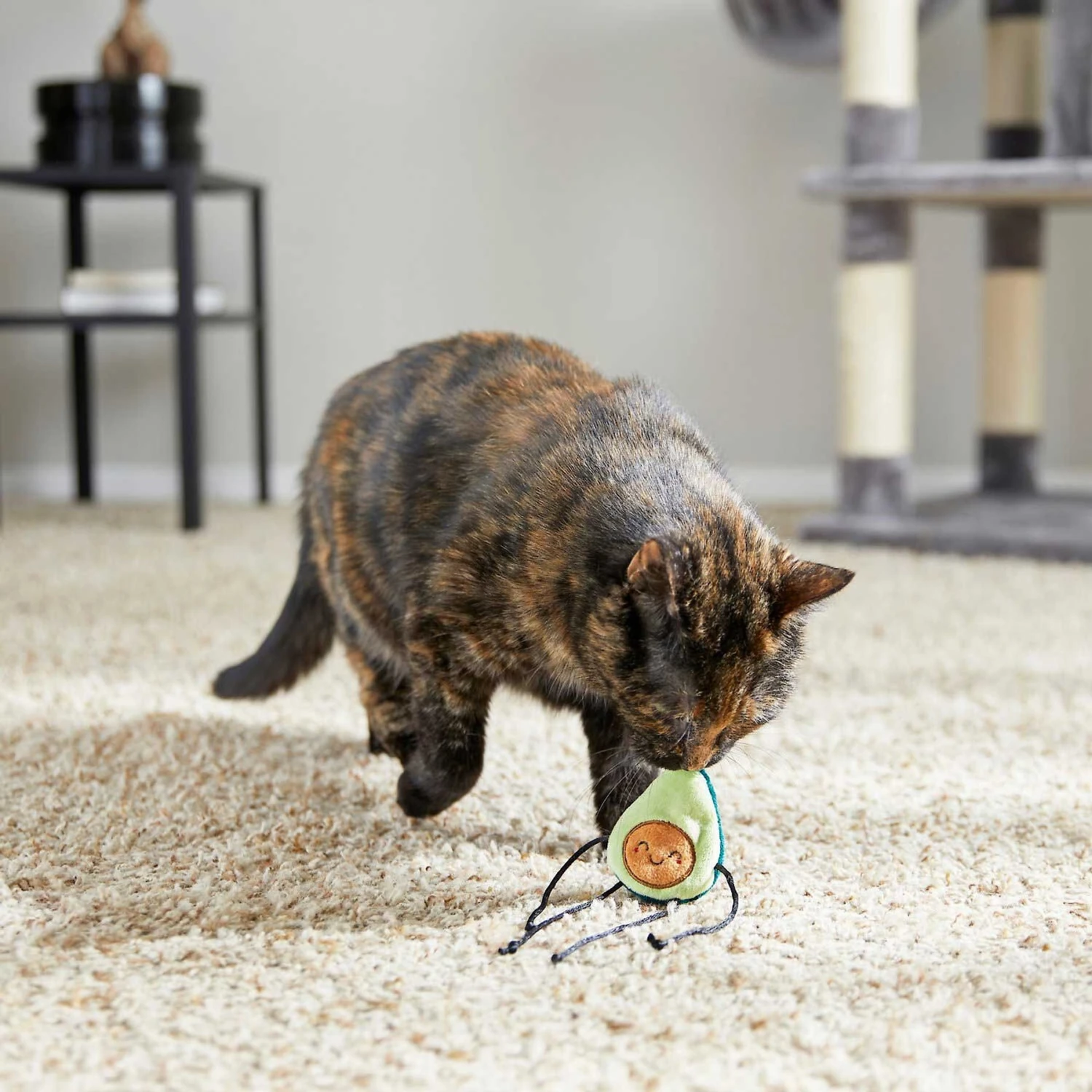 Frisco Cactus Cat Scratching Post & Frisco Dangly Avocado Buddy Plush Cat Toy With Catnip 9 Frisco Cactus Cat Scratching Post & Frisco Dangly Avocado Buddy Plush Cat Toy With Catnip - Image 7