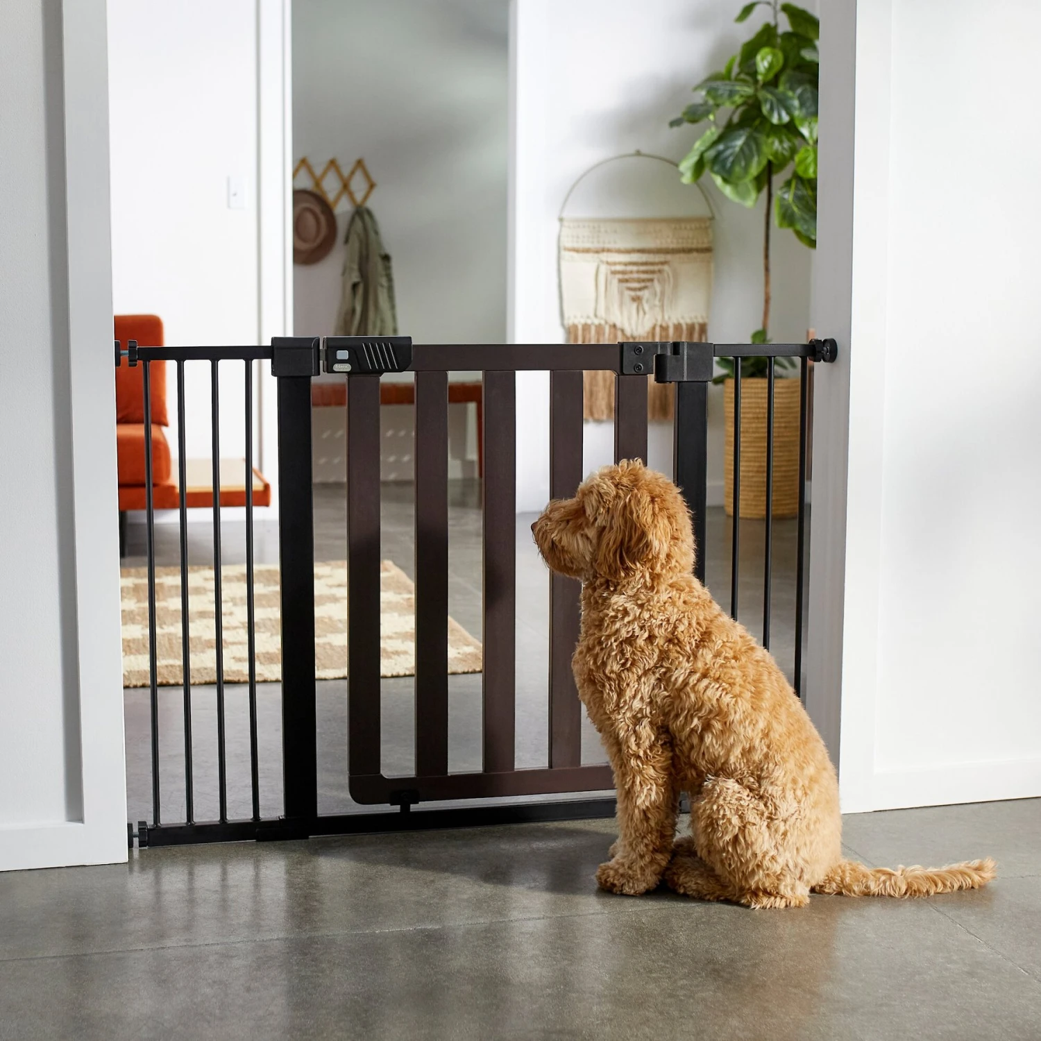 Frisco Wood & Metal Extra Wide Auto-close Dog Gate 3 Frisco Wood & Metal Extra Wide Auto-close Dog Gate
