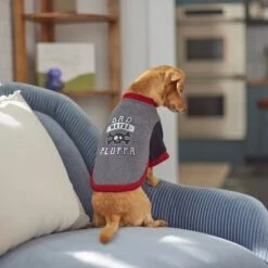 Frisco Bad Motha Fluffa Dog & Cat T-Shirt 13 Frisco Bad Motha Fluffa Dog & Cat T-Shirt -Frisco 312048 PT8. AC SS1800 V1644446866