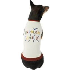 Frisco Problem Child Dog & Cat T-Shirt -Frisco 312064 PT3. AC SS1800 V1673303532