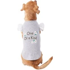 Frisco One Of A Kind Dog & Cat T-Shirt 12 Frisco One Of A Kind Dog & Cat T-Shirt -Frisco 312080 PT3. AC SS1800 V1673303002