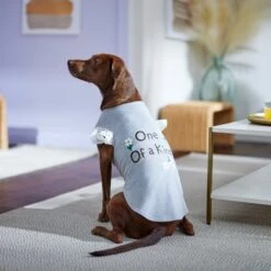 Frisco One Of A Kind Dog & Cat T-Shirt 14 Frisco One Of A Kind Dog & Cat T-Shirt -Frisco 312080 PT5. AC SS1800 V1673304060