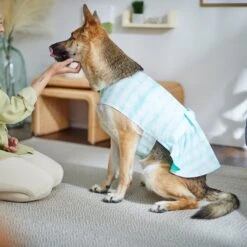 Frisco Green Tie Dye Dog & Cat Dress -Frisco 312104 PT8. AC SS1800 V1644424641