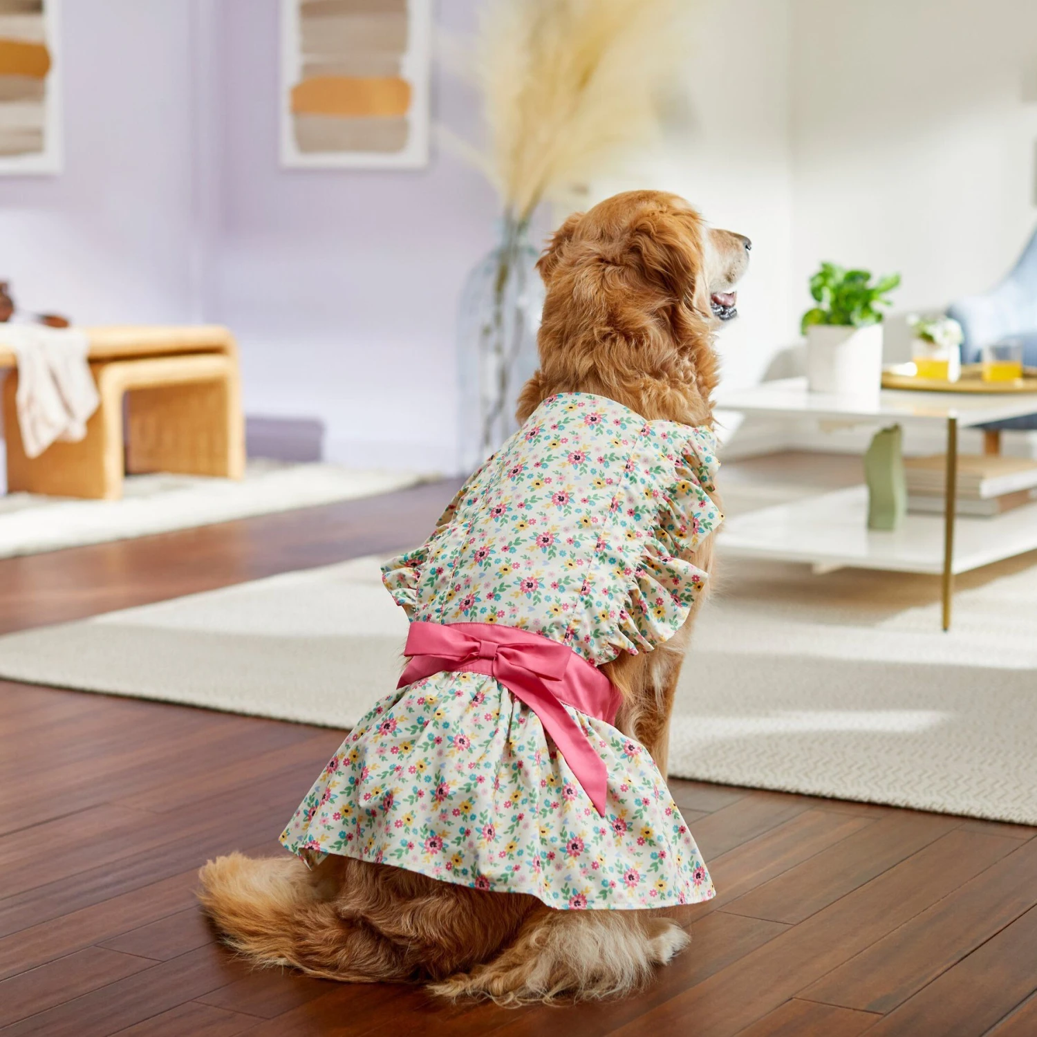 Frisco Dainty Pink Floral Dog & Cat Dress 8 Frisco Dainty Pink Floral Dog & Cat Dress - Image 6