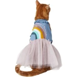 Frisco Rainbow Denim Dog & Cat Dress -Frisco 312144 PT2. AC SS1800 V1644524286