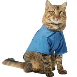 Frisco Chambray Pineapple Dog & Cat Shirt 13 Frisco Chambray Pineapple Dog & Cat Shirt -Frisco 312192 PT2. AC SS1800 V1644528879