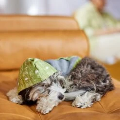 Frisco Green Southwest Dog & Cat Hoodie 15 Frisco Green Southwest Dog & Cat Hoodie -Frisco 312248 PT8. AC SS1800 V1644883113